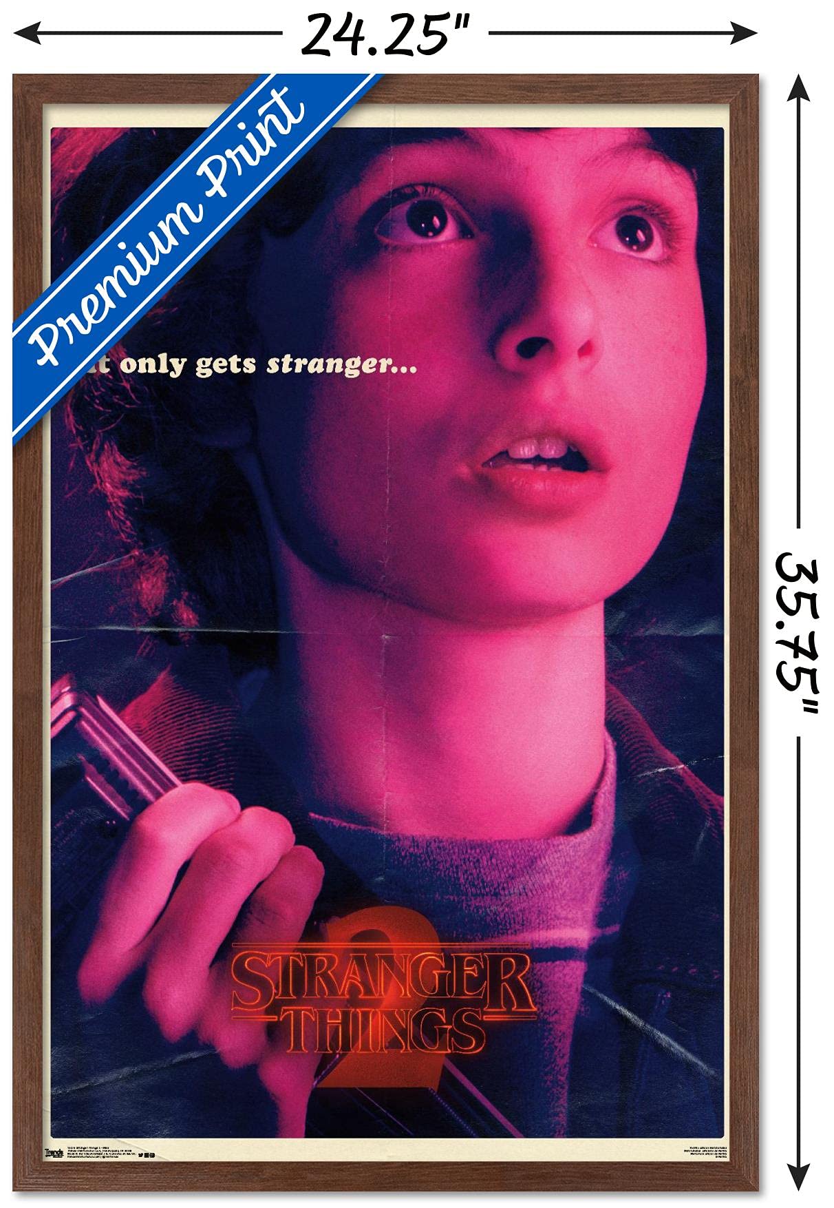 Amazon.co.jp: Trends International Netflix ストレンジャー